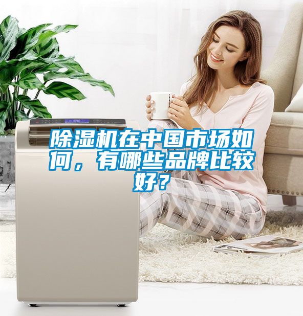 除濕機在中國市場如何，有哪些品牌比較好？
