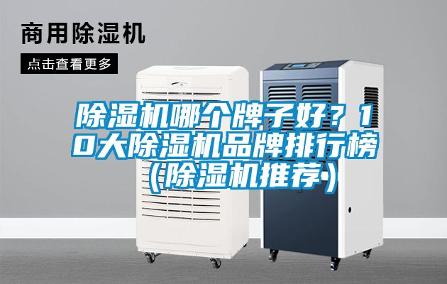 除濕機哪個牌子好？10大除濕機品牌排行榜（除濕機推薦）