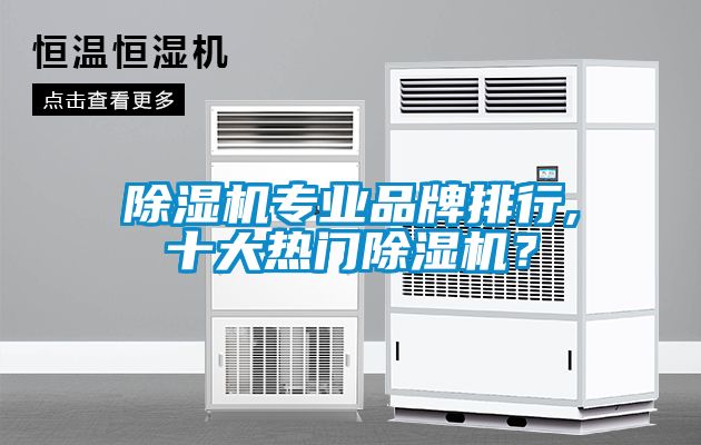 除濕機(jī)專業(yè)品牌排行,十大熱門除濕機(jī)？