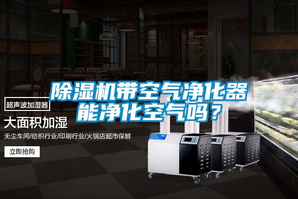 除濕機帶空氣凈化器能凈化空氣嗎？