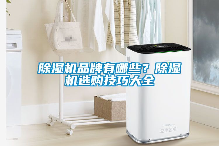 除濕機(jī)品牌有哪些？除濕機(jī)選購技巧大全
