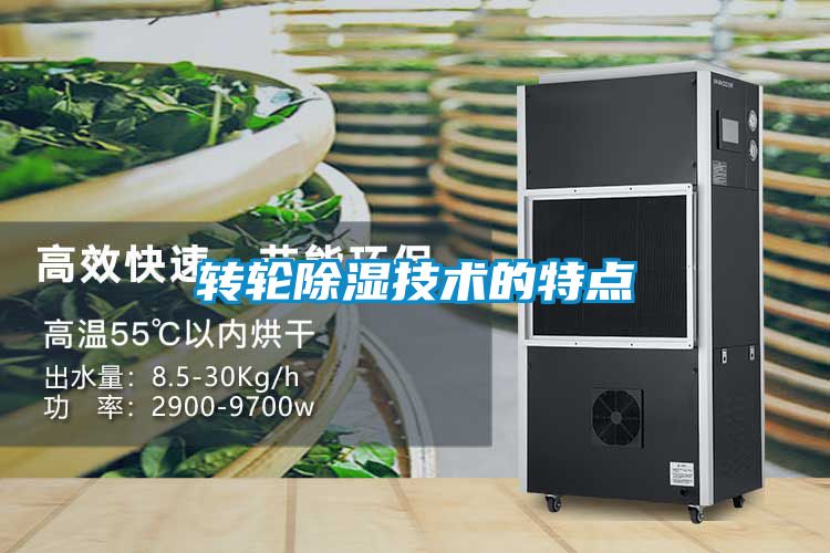 轉(zhuǎn)輪除濕技術(shù)的特點