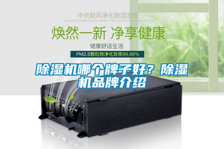 除濕機(jī)哪個(gè)牌子好？除濕機(jī)品牌介紹