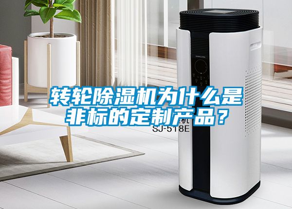 轉(zhuǎn)輪除濕機為什么是非標的定制產(chǎn)品？