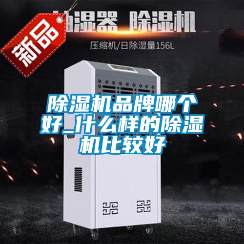 除濕機(jī)品牌哪個好_什么樣的除濕機(jī)比較好