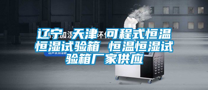 遼寧 天津 可程式恒溫恒濕試驗箱 恒溫恒濕試驗箱廠家供應(yīng)