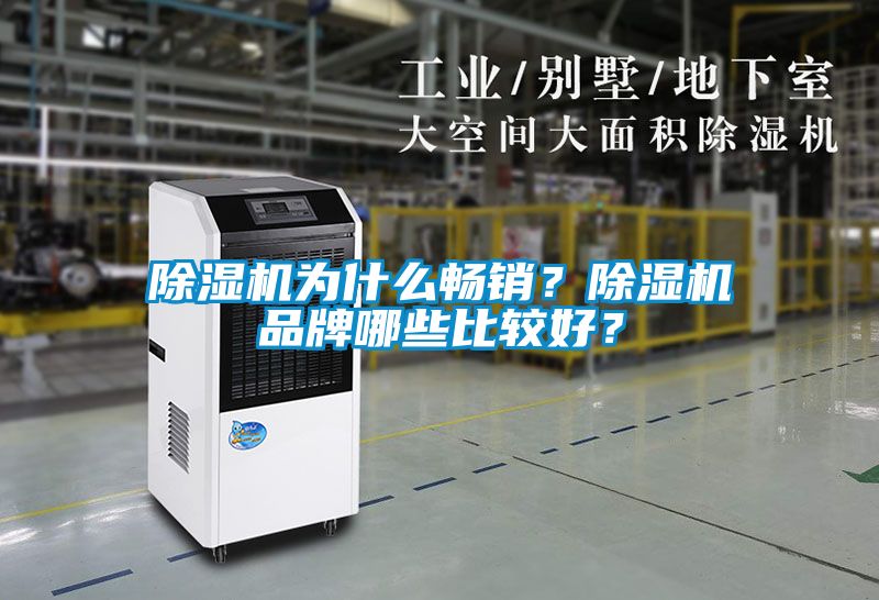除濕機(jī)為什么暢銷？除濕機(jī)品牌哪些比較好？