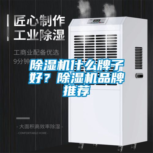 除濕機(jī)什么牌子好？除濕機(jī)品牌推薦