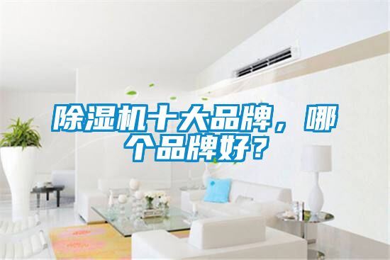 除濕機(jī)十大品牌，哪個(gè)品牌好？