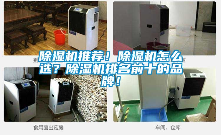 除濕機(jī)推薦！除濕機(jī)怎么選？除濕機(jī)排名前十的品牌！