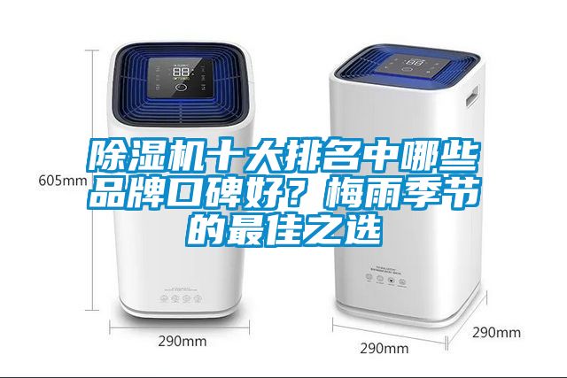 除濕機(jī)十大排名中哪些品牌口碑好？梅雨季節(jié)的最佳之選