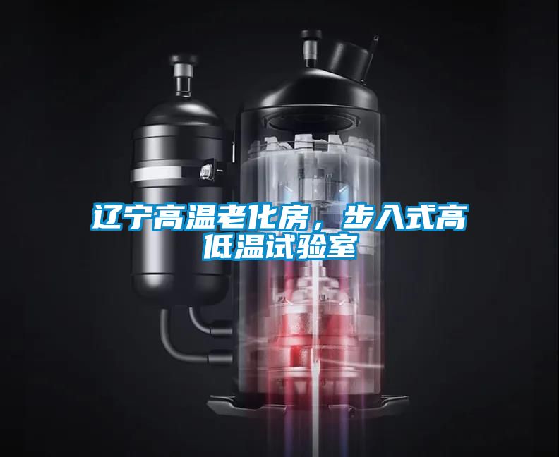 遼寧高溫老化房，步入式高低溫試驗室