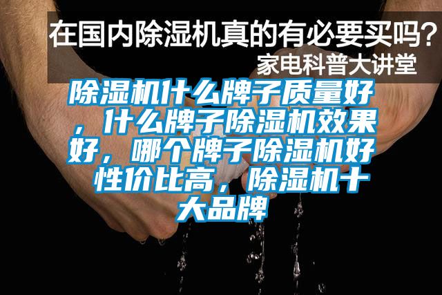 除濕機(jī)什么牌子質(zhì)量好，什么牌子除濕機(jī)效果好，哪個(gè)牌子除濕機(jī)好 性?xún)r(jià)比高，除濕機(jī)十大品牌
