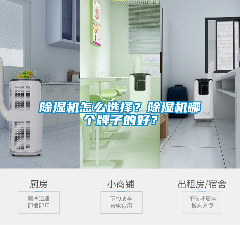 除濕機怎么選擇？除濕機哪個牌子的好？