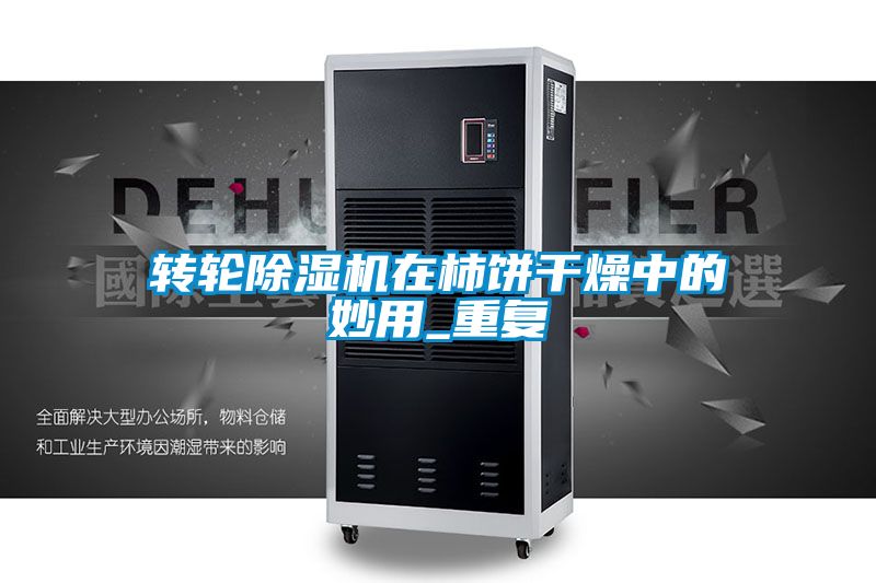 轉(zhuǎn)輪除濕機在柿餅干燥中的妙用_重復(fù)