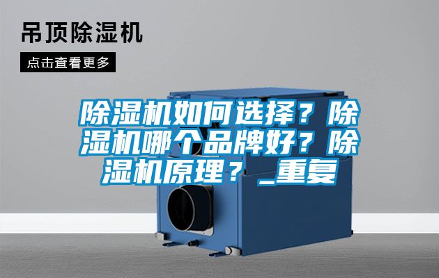 除濕機(jī)如何選擇？除濕機(jī)哪個(gè)品牌好？除濕機(jī)原理？_重復(fù)