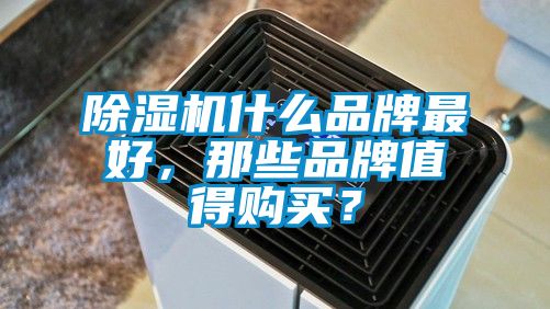 除濕機(jī)什么品牌最好，那些品牌值得購買？
