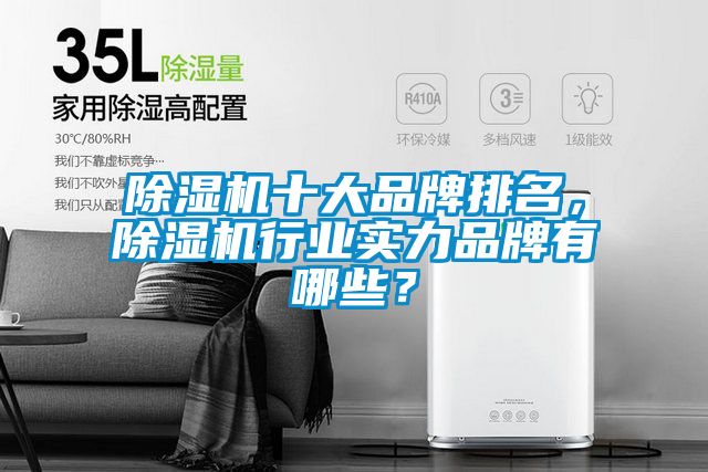 除濕機十大品牌排名，除濕機行業(yè)實力品牌有哪些？