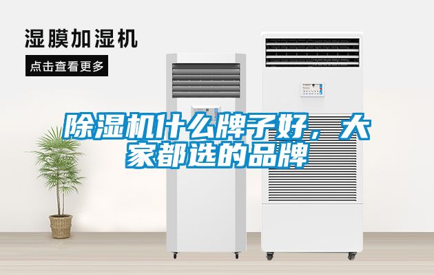 除濕機(jī)什么牌子好，大家都選的品牌