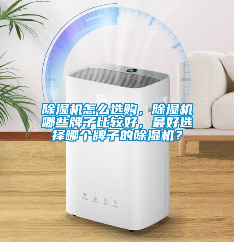 除濕機(jī)怎么選購(gòu)，除濕機(jī)哪些牌子比較好，最好選擇哪個(gè)牌子的除濕機(jī)？