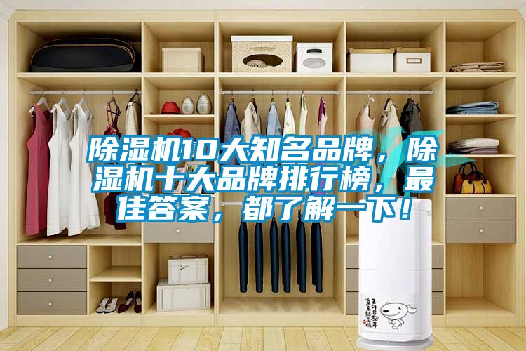 除濕機10大知名品牌，除濕機十大品牌排行榜，最佳答案，都了解一下！