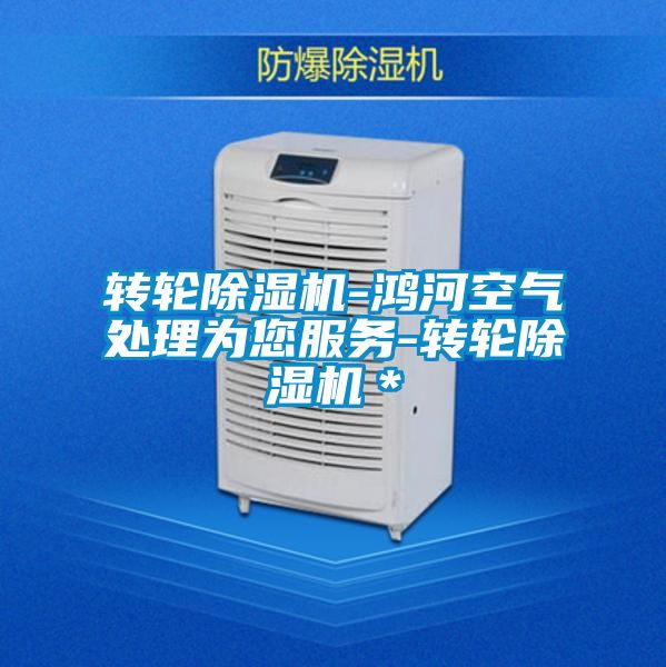 轉(zhuǎn)輪除濕機-鴻河空氣處理為您服務(wù)-轉(zhuǎn)輪除濕機＊