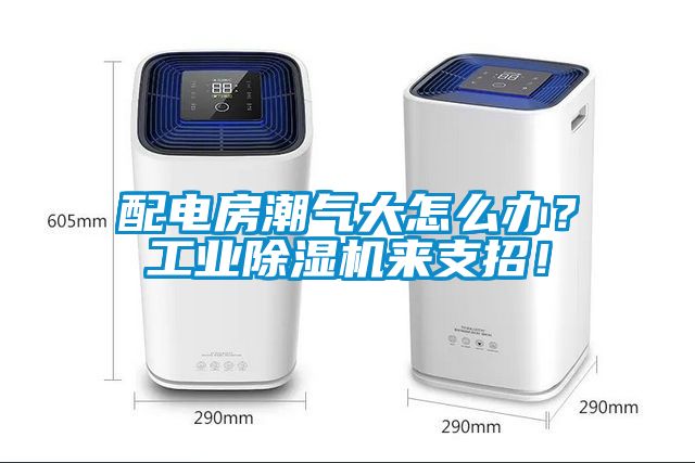 配電房潮氣大怎么辦？工業(yè)除濕機(jī)來(lái)支招！