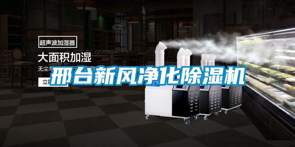 邢臺新風(fēng)凈化除濕機(jī)