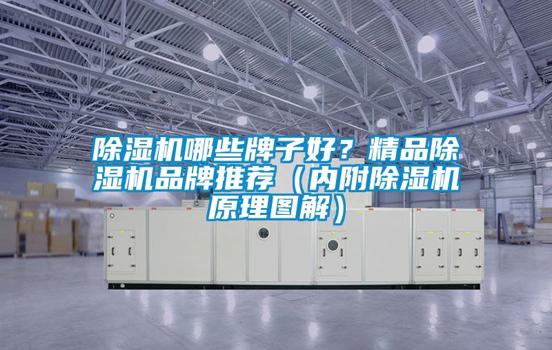 除濕機哪些牌子好？精品除濕機品牌推薦（內附除濕機原理圖解）