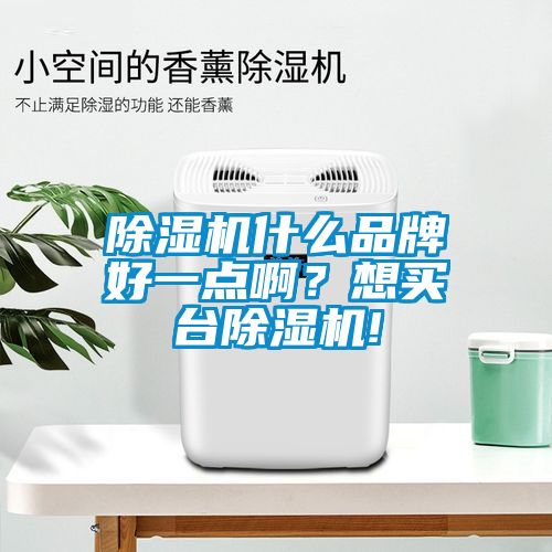 除濕機(jī)什么品牌好一點(diǎn)啊？想買臺除濕機(jī)!