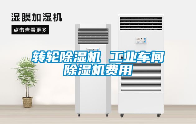 轉(zhuǎn)輪除濕機 工業(yè)車間除濕機費用