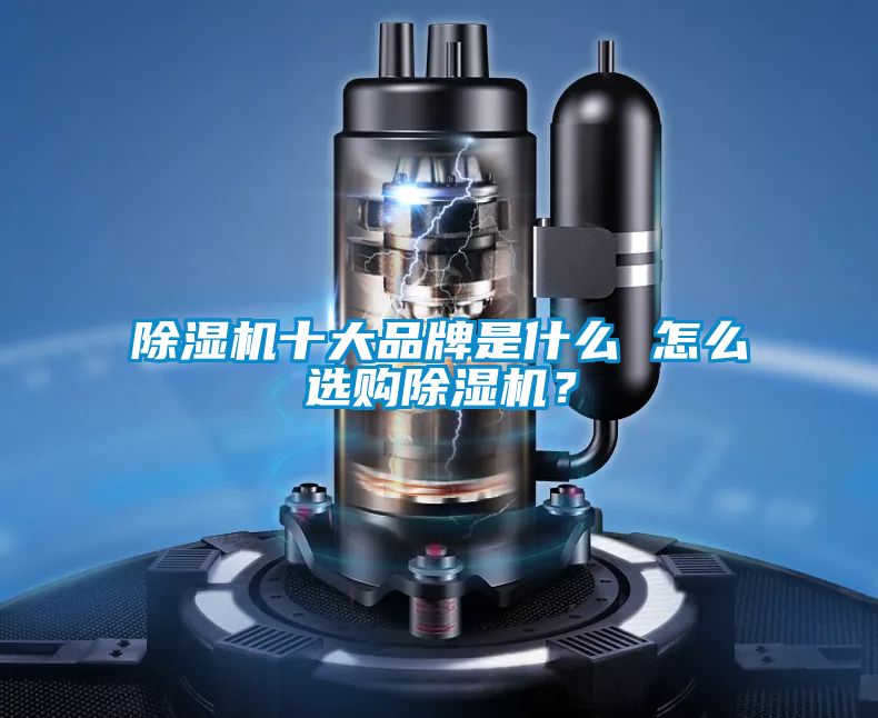除濕機(jī)十大品牌是什么 怎么選購除濕機(jī)？
