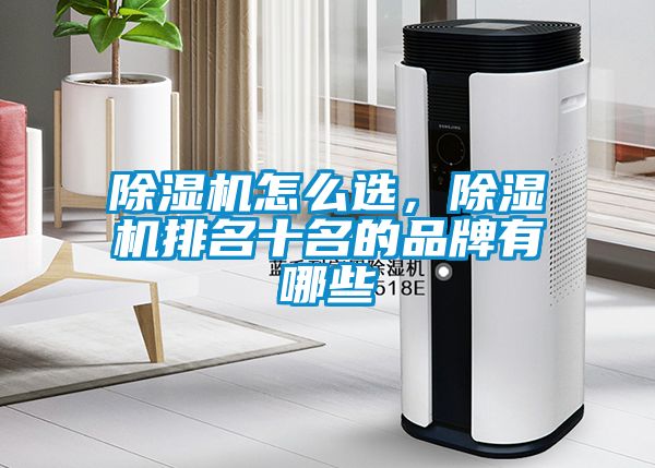 除濕機(jī)怎么選，除濕機(jī)排名十名的品牌有哪些