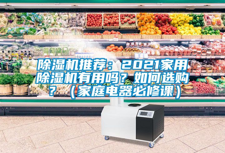 除濕機推薦：2021家用除濕機有用嗎？如何選購？（家庭電器必修課）