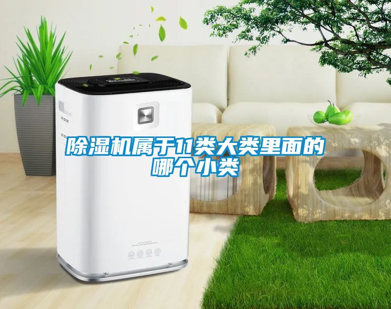 除濕機(jī)屬于11類大類里面的哪個小類