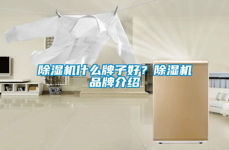 除濕機(jī)什么牌子好？除濕機(jī)品牌介紹