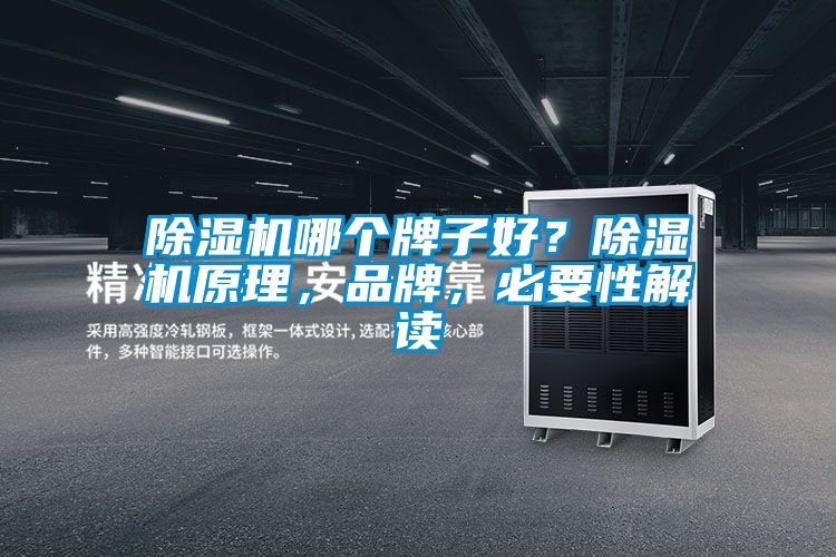 除濕機(jī)哪個(gè)牌子好？除濕機(jī)原理，品牌，必要性解讀