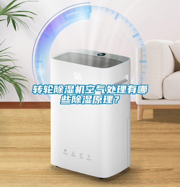 轉(zhuǎn)輪除濕機(jī)空氣處理有哪些除濕原理？