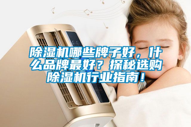 除濕機哪些牌子好，什么品牌最好？探秘選購除濕機行業(yè)指南！