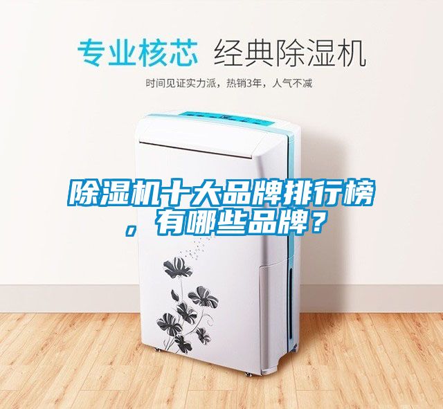 除濕機(jī)十大品牌排行榜，有哪些品牌？