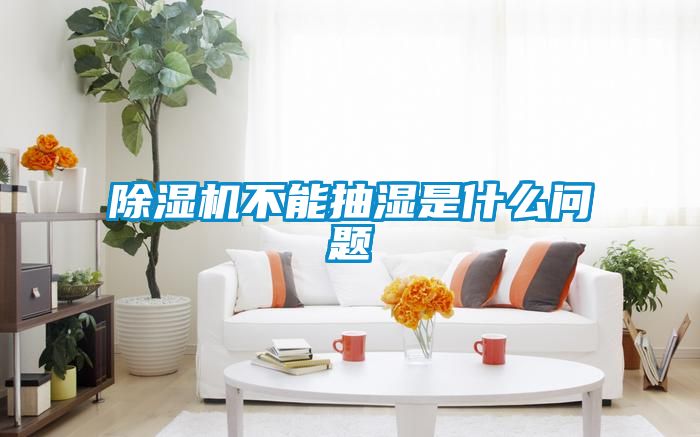 除濕機(jī)不能抽濕是什么問(wèn)題