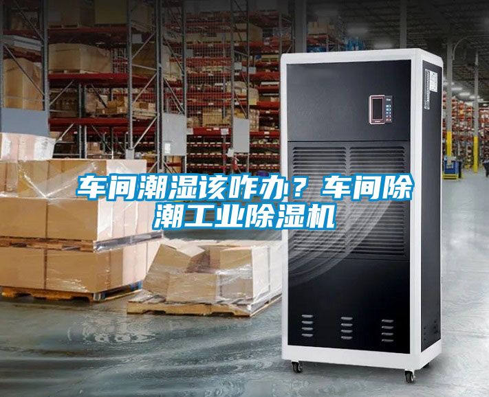 車間潮濕該咋辦？車間除潮工業(yè)除濕機(jī)