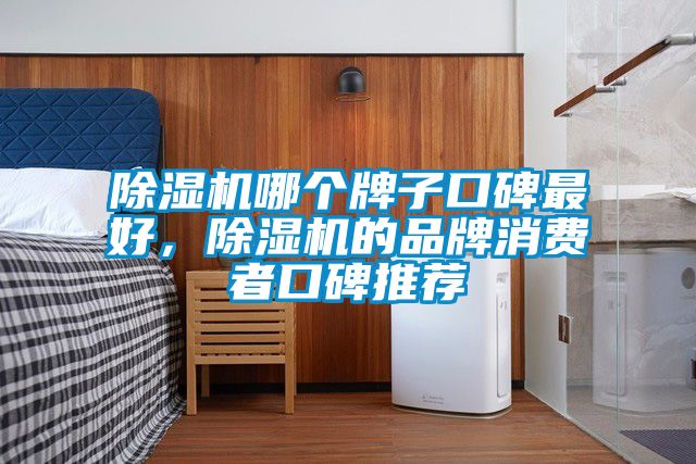 除濕機哪個牌子口碑最好，除濕機的品牌消費者口碑推薦