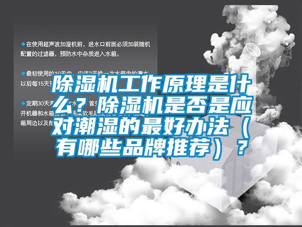 除濕機工作原理是什么？除濕機是否是應(yīng)對潮濕的最好辦法（有哪些品牌推薦）？