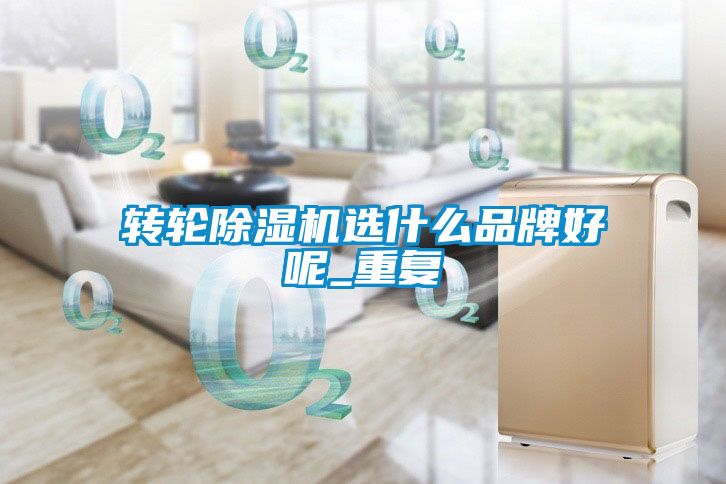 轉(zhuǎn)輪除濕機(jī)選什么品牌好呢_重復(fù)