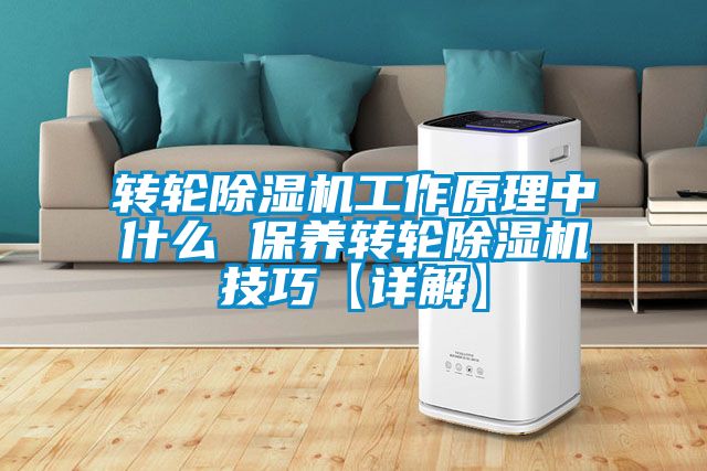 轉輪除濕機工作原理中什么 保養(yǎng)轉輪除濕機技巧【詳解】