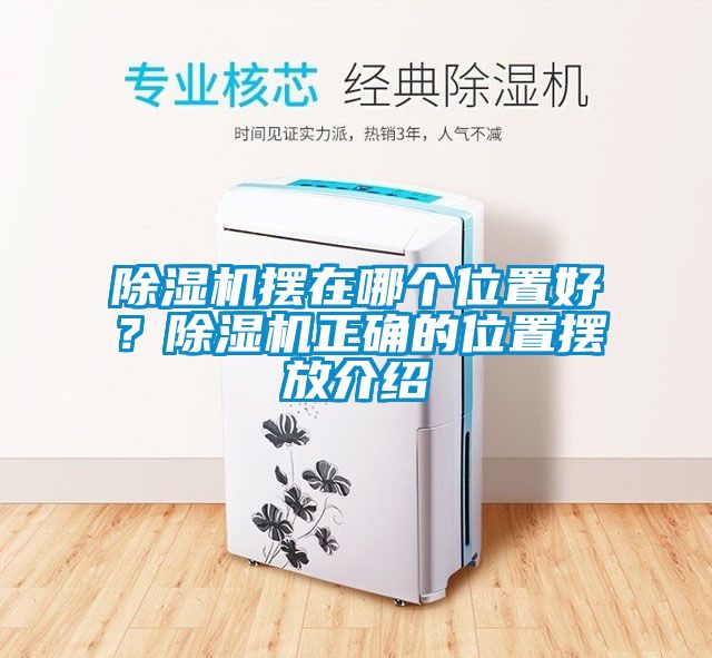 除濕機擺在哪個位置好？除濕機正確的位置擺放介紹
