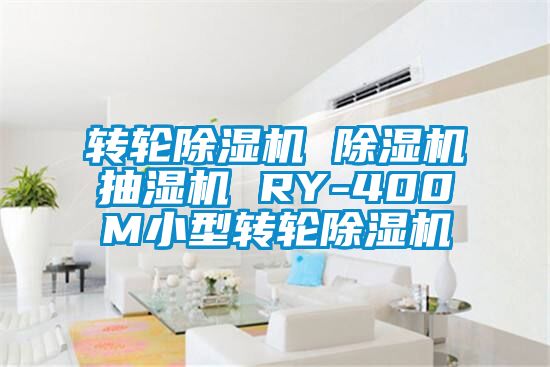 轉(zhuǎn)輪除濕機 除濕機抽濕機 RY-400M小型轉(zhuǎn)輪除濕機