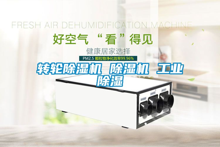 轉(zhuǎn)輪除濕機 除濕機 工業(yè)除濕