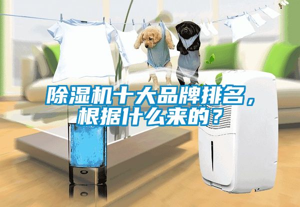 除濕機十大品牌排名，根據(jù)什么來的？